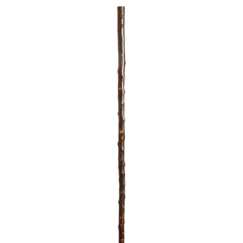 Long Blackthorn 53'' Walking Stick Fit Up