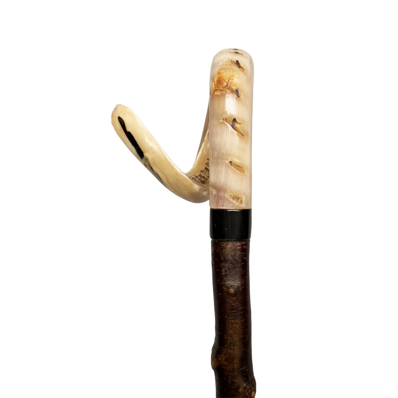 Long Curly Ram's Horn Crook Walking Stick