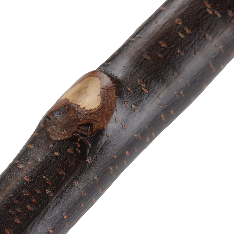 Thumb Sticks - WalkingSticks.co.uk