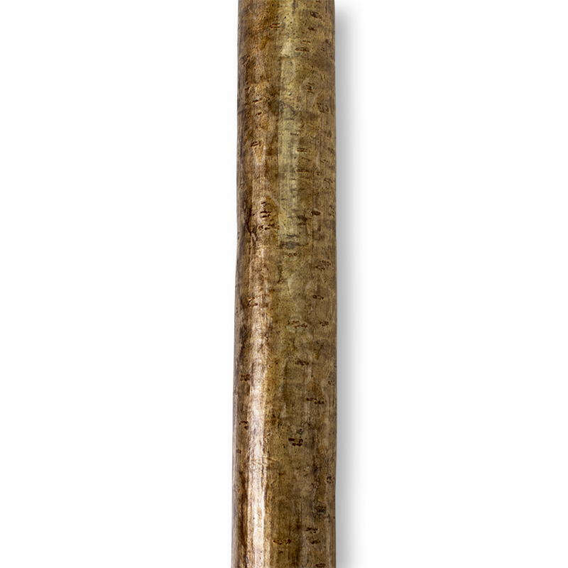 Ram's Horn Crook Walking Stick