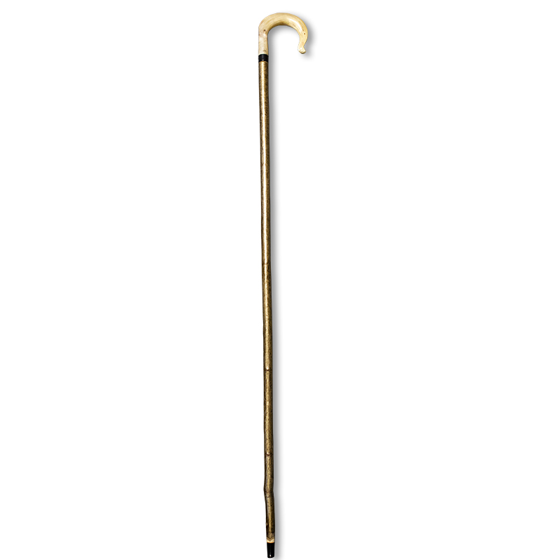 Ram's Horn Crook Walking Stick