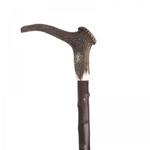Antler Crown Handle Blackthorn Walking Stick