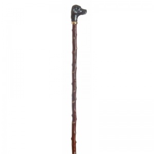 Black Labrador Handle Blackthorn Walking Stick