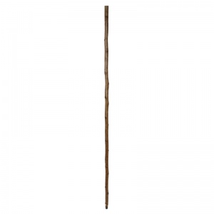 Hazel 54'' Fit Up Walking Stick Shaft with Metal Ferrule
