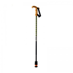 Flexyfoot Black Urban Hiking Pole