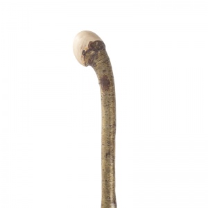 Hazel Coppice Knobstick Country Walking Stick