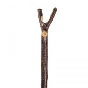Hazel Thumbstick Country Hiking Stick