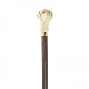 Imitation Ivory Labrador Hardwood Cane
