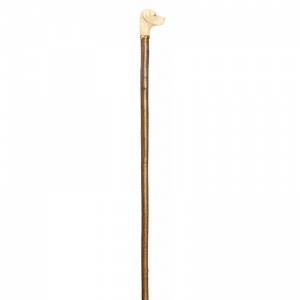 Labrador Retriever Handle Hazel Walking Stick