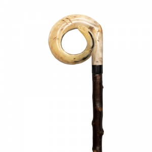 Long Curly Ram's Horn Crook Walking Stick