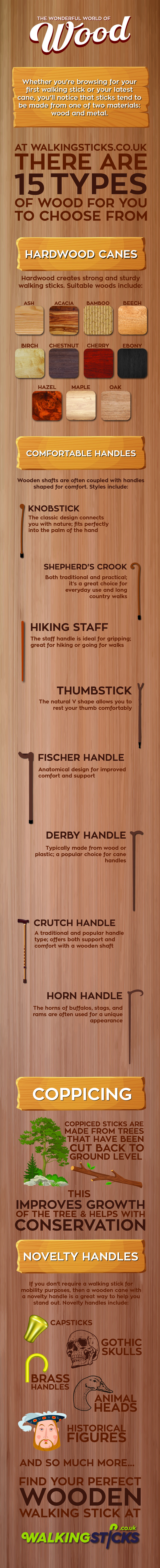 Learn about wooden walking sticks with our infographic