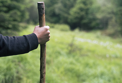 Wooden Walking Canes Can Be Used While You Hike